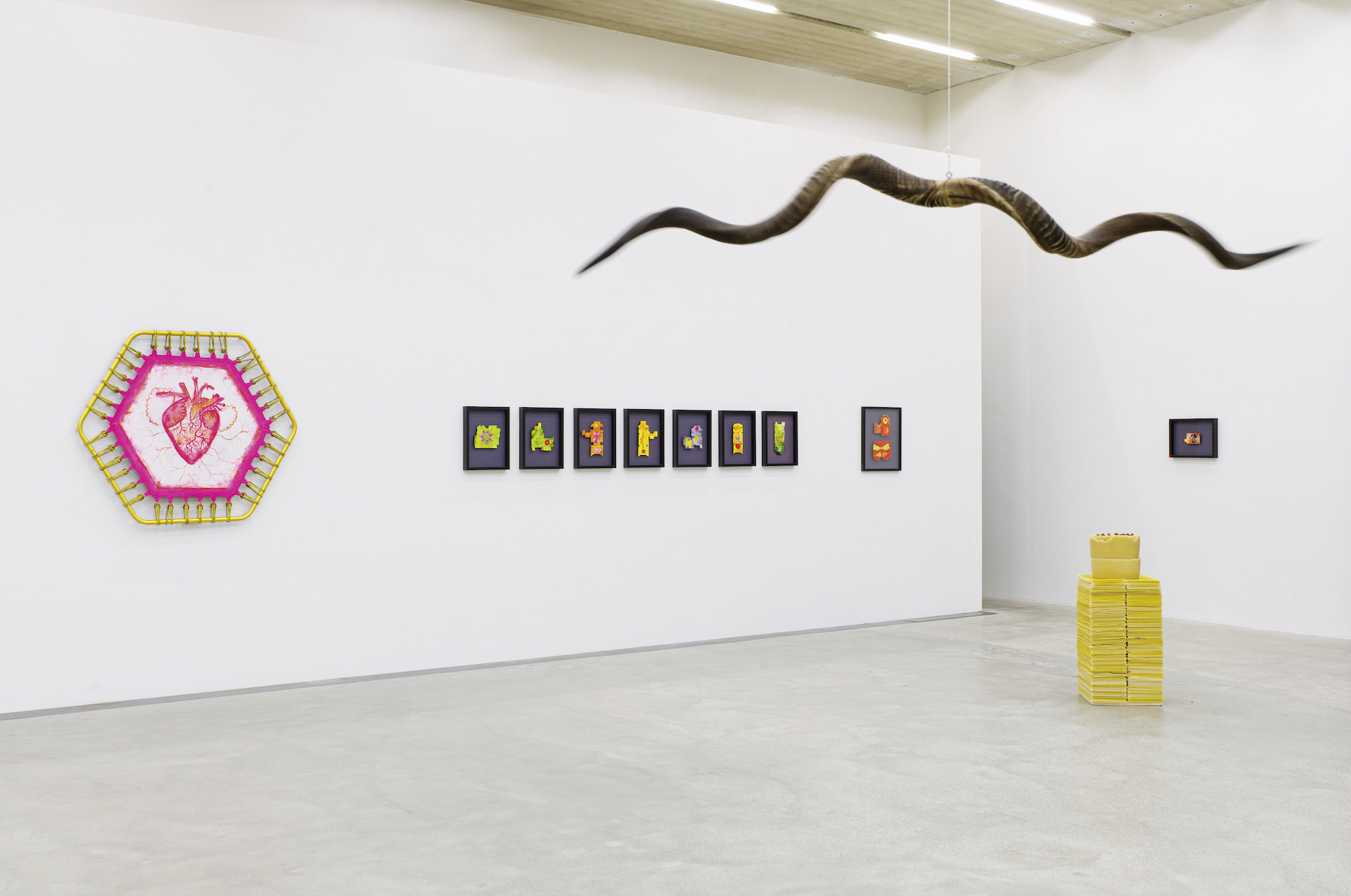 Hutz Barbara Husar Foto g Koenig S1001563 2