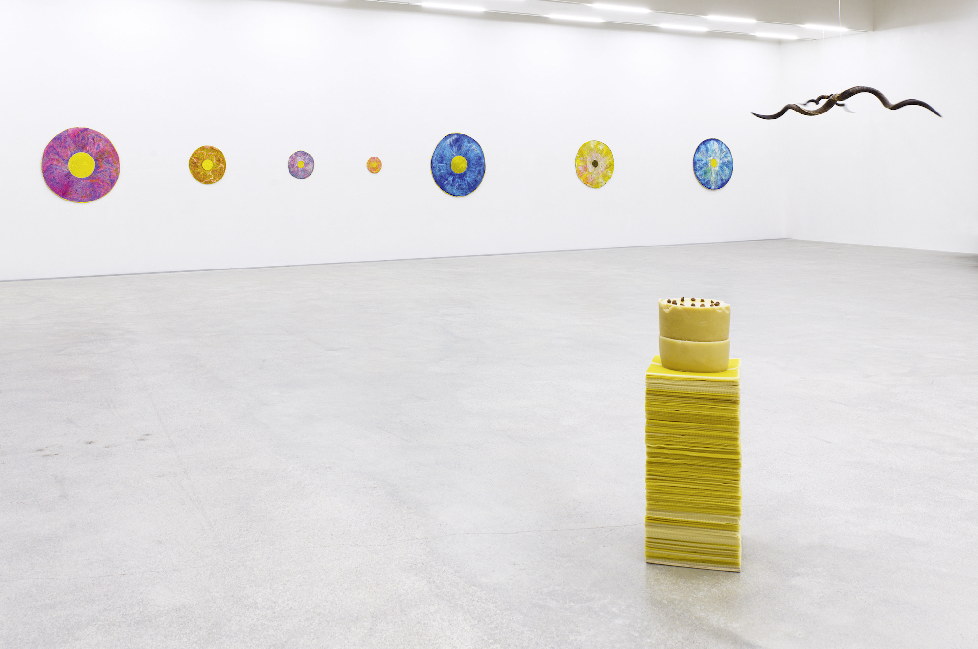 Hutz Barbara Husar Foto g Koenig S1001611 2