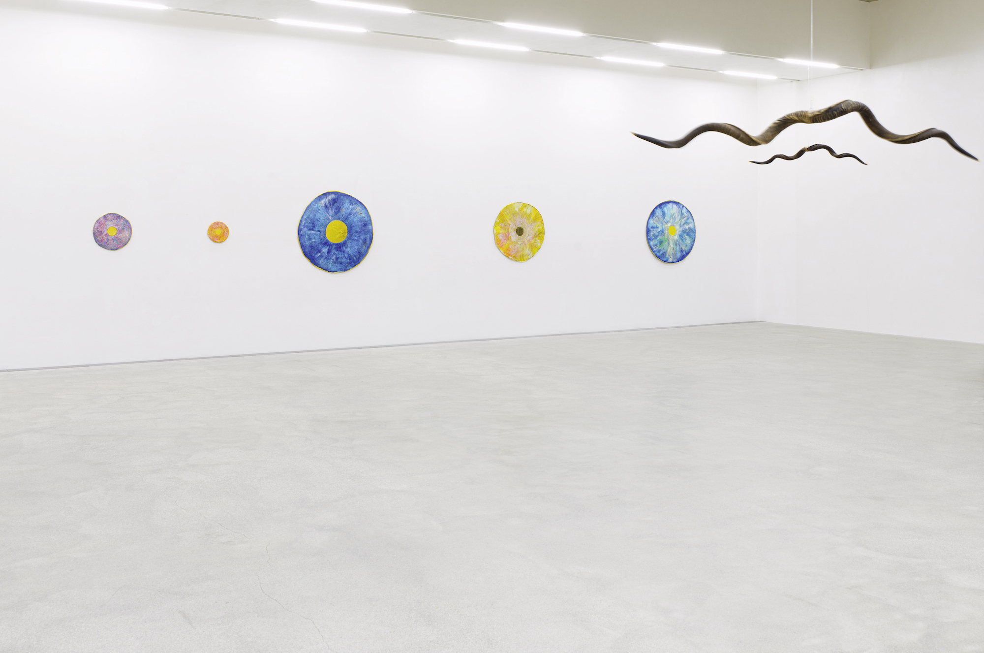 Hutz Barbara Husar Foto g Koenig S1001546 2