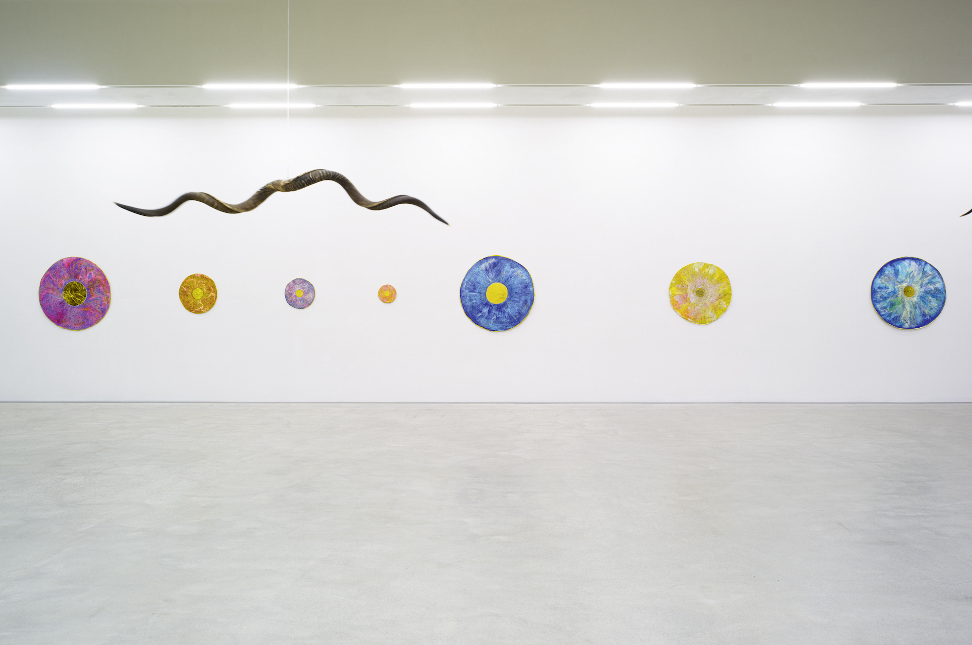 CIRCLES EXHIBITION BARBARA HUSAR