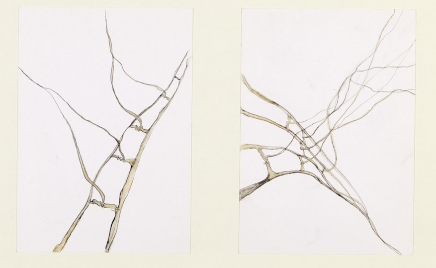 Desertdrawing 1999 11