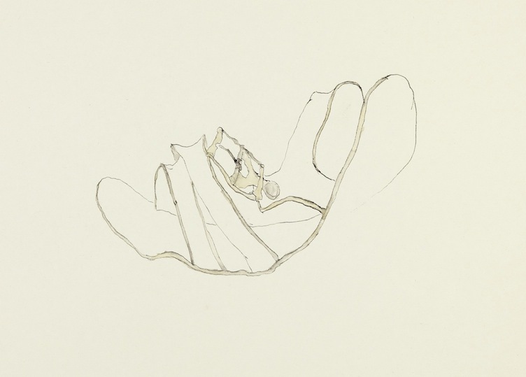 Desertdrawing 1999 2