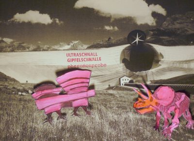 Big Fisch Art Stream Gland Still 2010 6