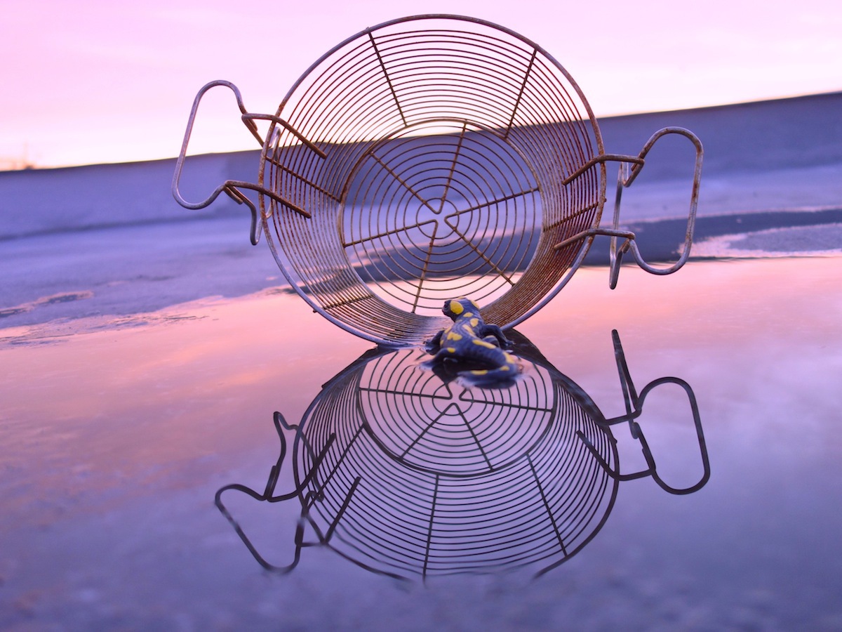 roof-top-conversations