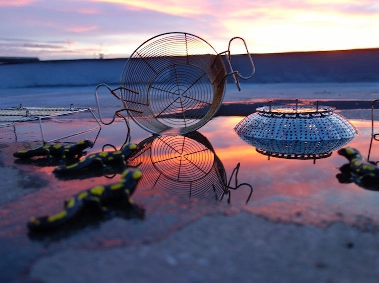 roof-top-conversations