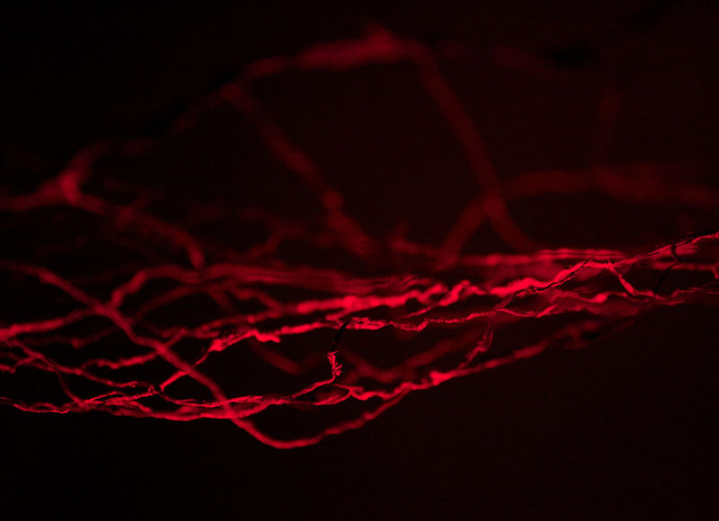 Cradle Of Estuary Muendungswiege Hammock Umbilicalcords Husar pic by Elisabeth Handl