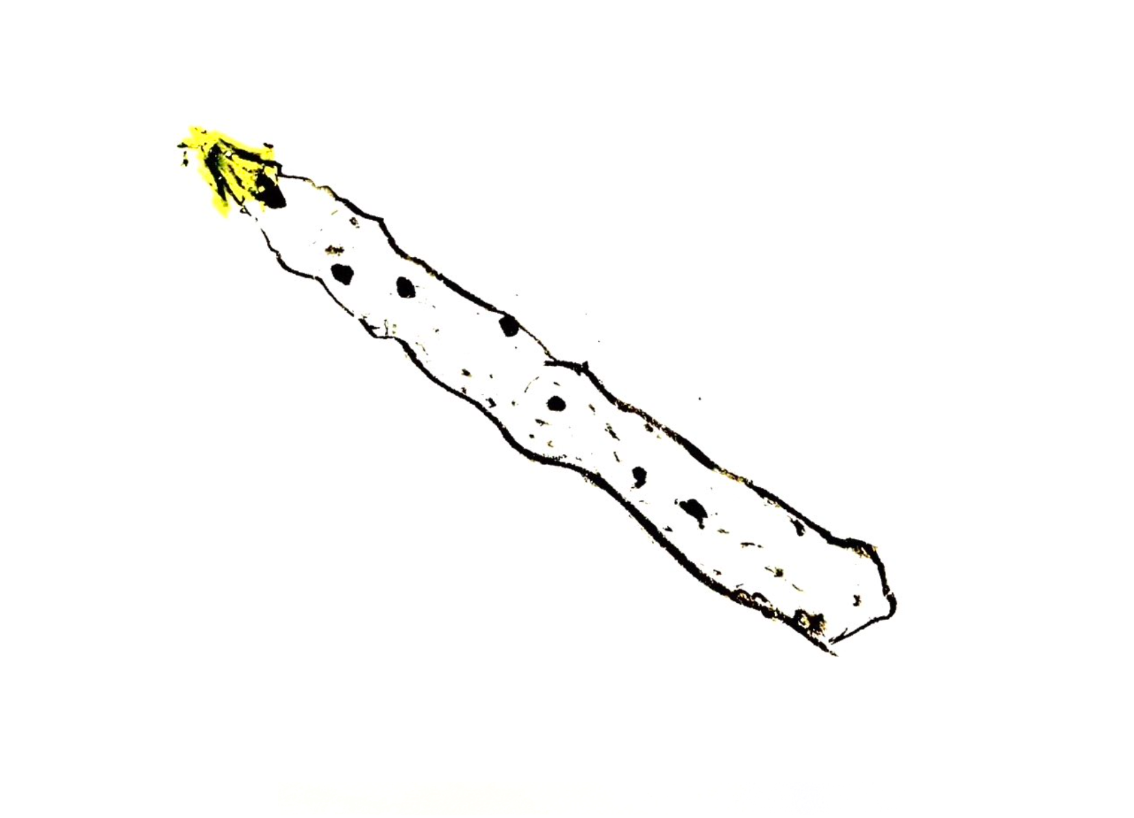 Fulgurite flute sketch free