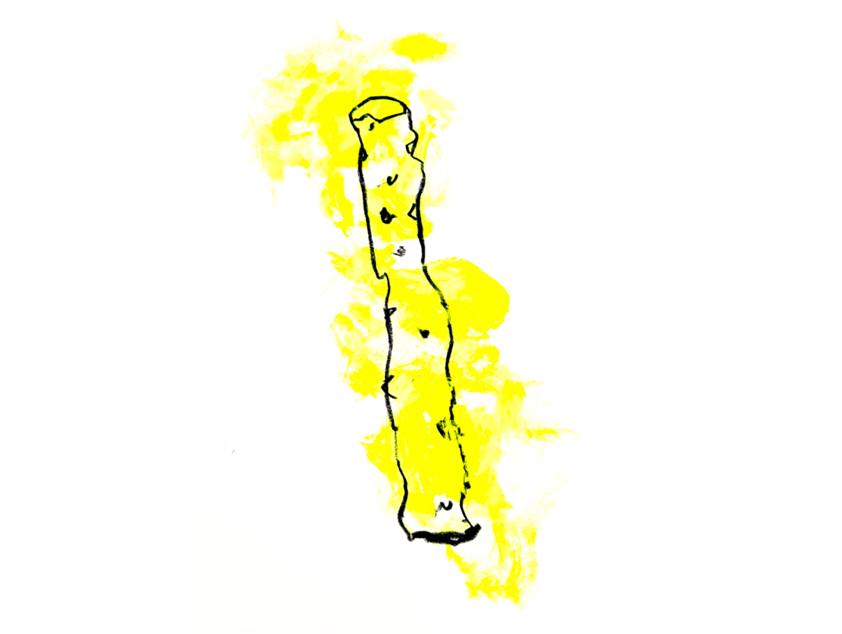 Fulgurite