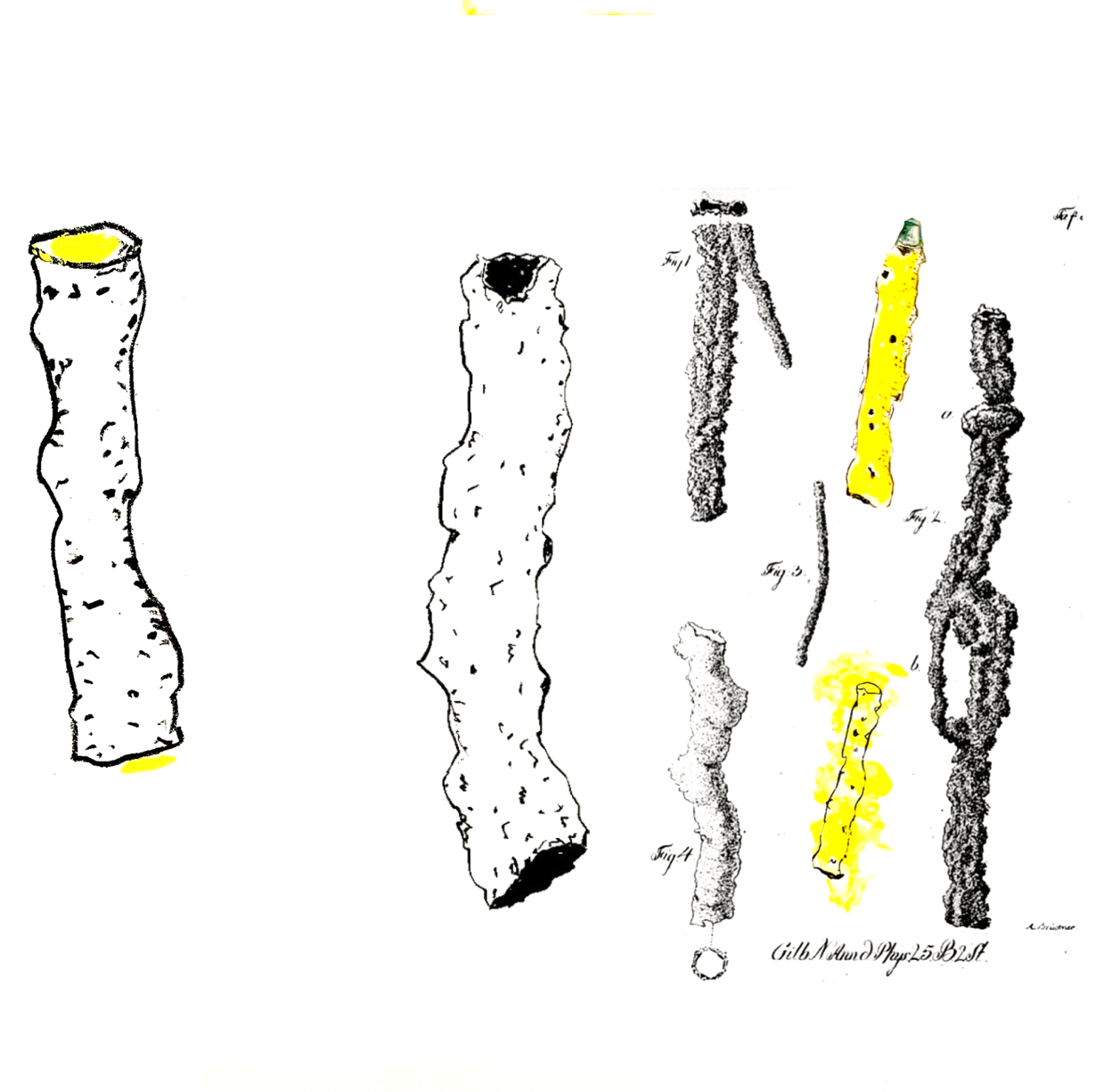 Fulgurite flute sketches mineral
