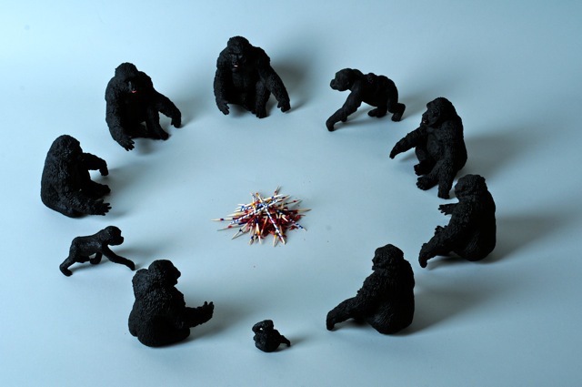 Gorillas Around Mikado