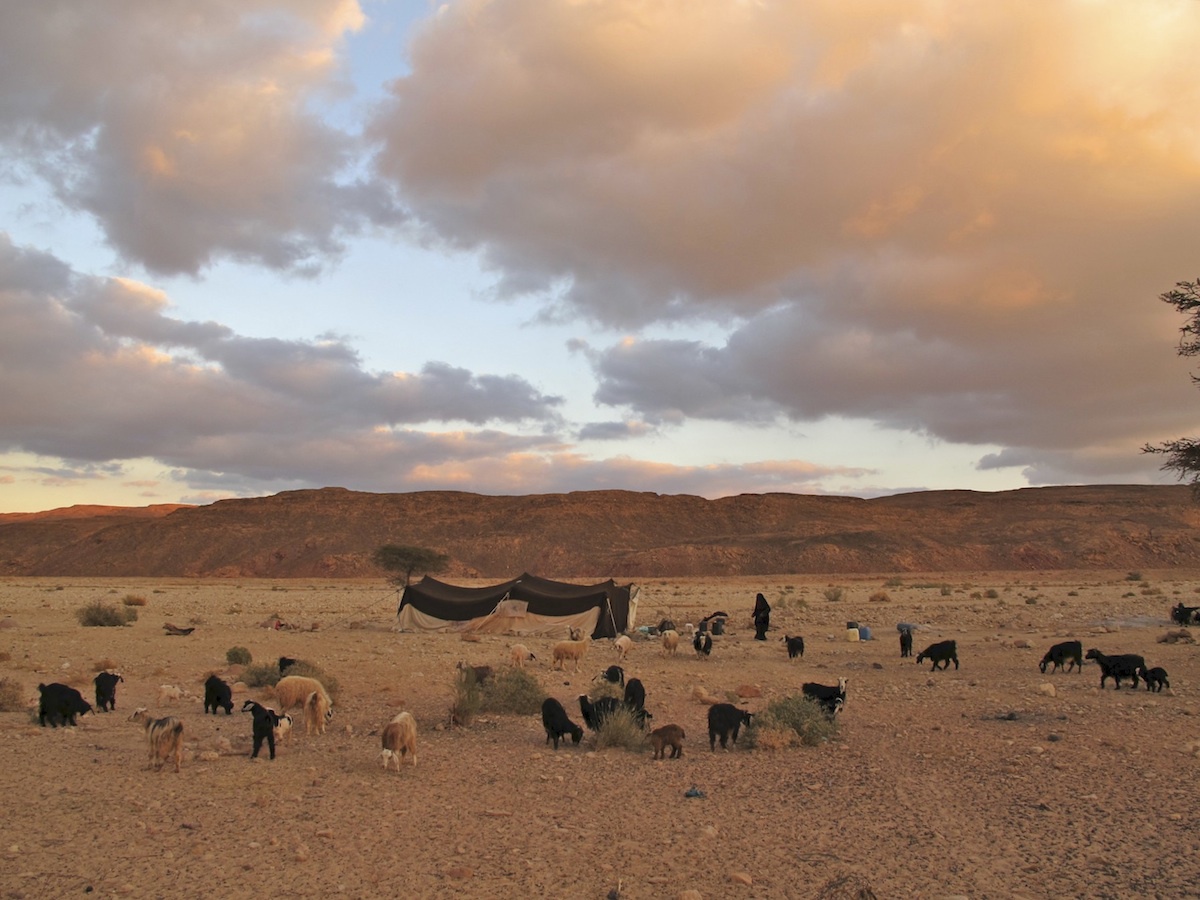 Dataexchange Home Solar 2