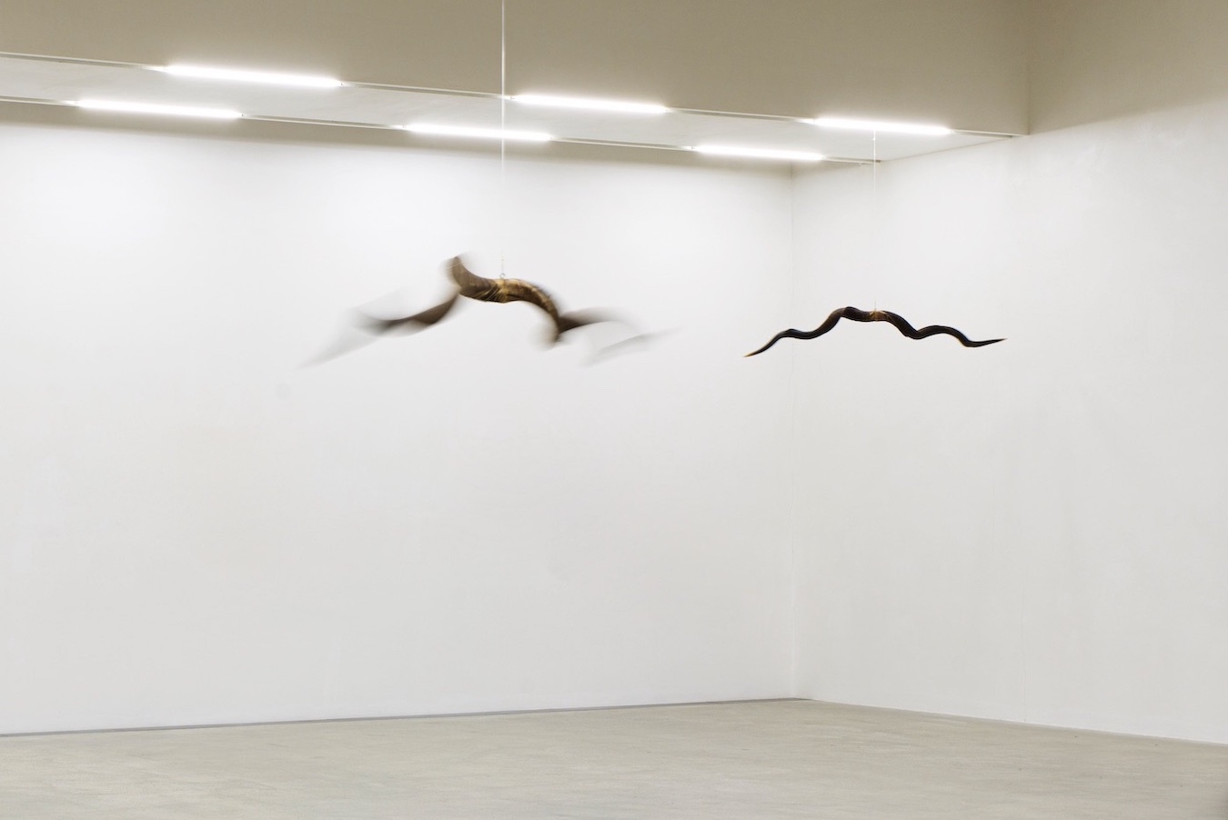 WAVES KUDU METEORA Barbara HUSAR 2023 001