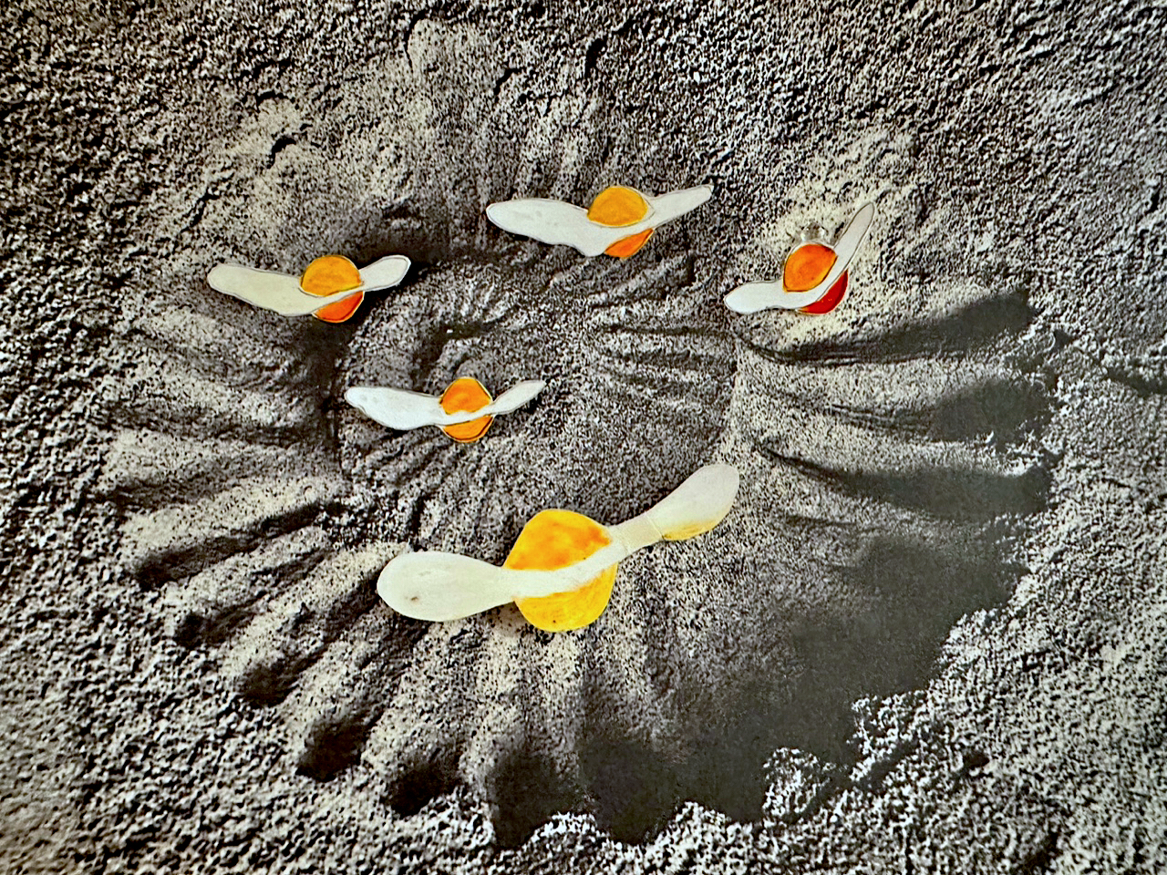 Space egg overview 74